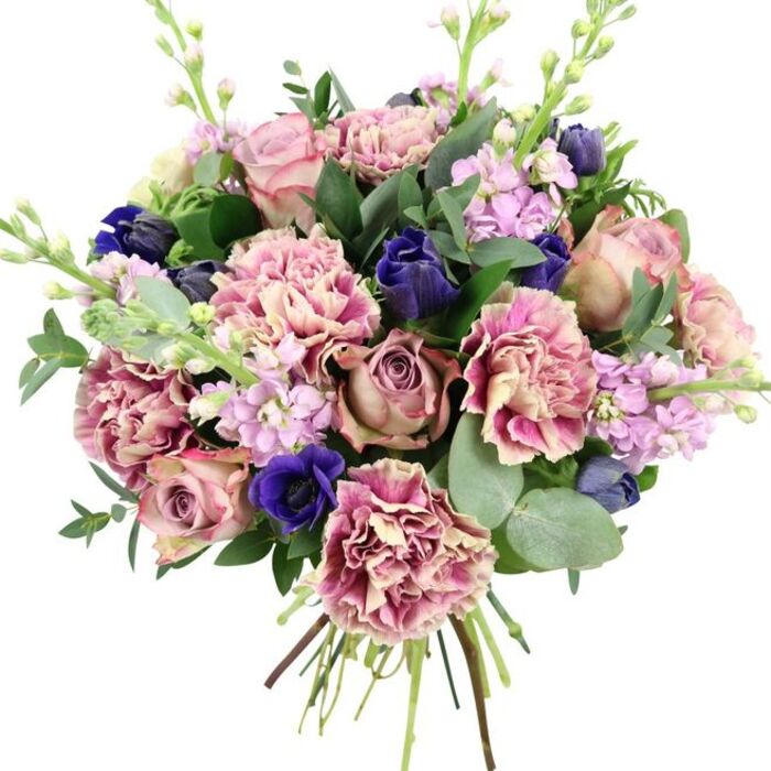 This hand-tied bouquet, captured against a crisp white background, appears as though it has just been finished in a quiet corner of a Cheam flower shop, every stem adjusted until the colours and shapes fall into perfect balance. At its centre are full-bloomed garden roses in gentle blush and muted dusty mauve, their petals pressed together in tight spirals that slowly relax towards the outer edges, giving the bouquet a richly romantic core. Surrounding them are generous ruffled carnations whose petals seem almost frothy; their colouring shifts from creamy or pale blush at the centre to deeper rose and plum-pink along the outer frills, adding both volume and a delicate sense of movement. Punctuating this softness are strong notes of deep blue and indigo: some blooms hold their colour in smooth, tulip-like buds, while others reveal open anemones with inky dark centres that draw the gaze, much like the deep shadows cast along Cheam's tree-lined streets in late afternoon. Rising lightly among the larger blooms are slim stems of lilac and pale lavender stock, each one made up of clusters of tiny flowers that contribute height, airiness, and the suggestion of a soft, powdery floral fragrance. The bouquet is framed by an abundance of foliage: rounded, silvery eucalyptus leaves mingle with darker, glossy greenery, providing contrast and giving the design a fresh, contemporary edge, like the mix of historic and modern buildings around Cheam Village. At the base, the stems are neatly gathered and left visible, bound in the traditional spiral that professional florists favour for both balance and beauty. This sophisticated blend of pinks, purples, and blues would suit an anniversary celebration, a refined birthday surprise, or a simple gesture of affection delivered to homes and workplaces across Cheam and nearby Sutton.
